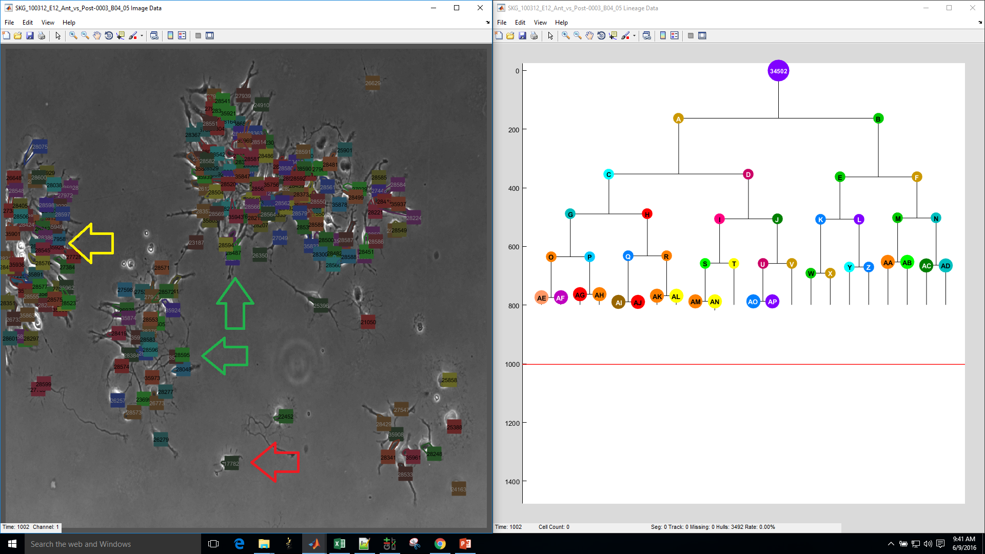 reseg cell selection