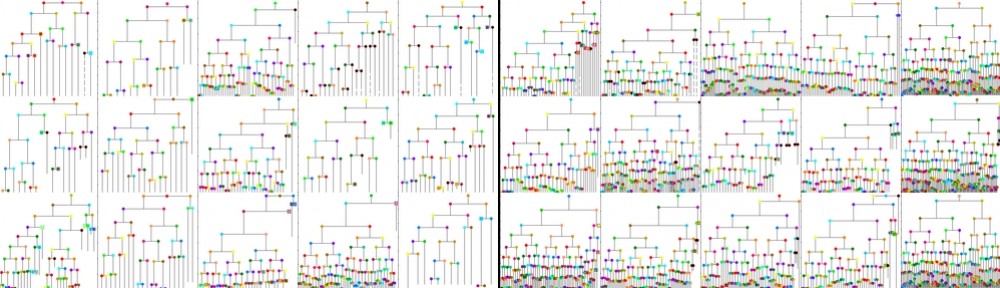 computational image sequence analysis